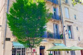 Hotel du Palais - photo 11