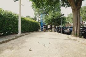 Best Western Hotelio Montpellier Sud - photo 17