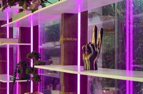 Best Western Hotelio Montpellier Sud - photo 8