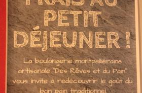 Hôtel des Arts - photo 17