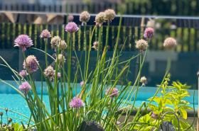 Crowne Plaza Montpellier Corum - photo 8