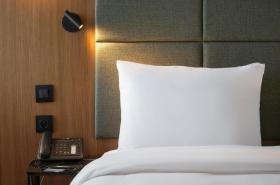 Crowne Plaza Montpellier Corum - photo 16
