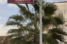Hôtel Abélia - photo 8