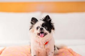 ibis Montpellier Centre Comedie - photo 6