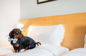 ibis Montpellier Centre Comedie - photo 13