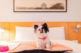 ibis Montpellier Centre Comedie - photo 7