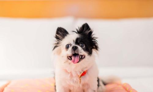 ibis Montpellier Centre Comedie - photo 3