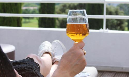 Hôtel Golf Fontcaude - photo 3