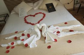 Hôtel Ulysse Montpellier Centre - photo 25